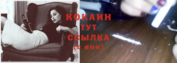 кокс Алексин