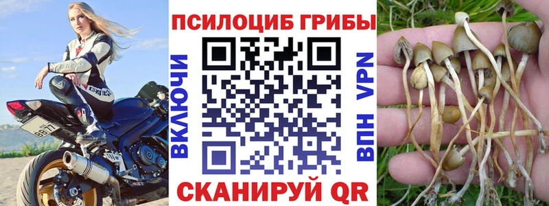 ссылка на мегу сайт  Ржев  Псилоцибиновые грибы Magic Shrooms  цена  