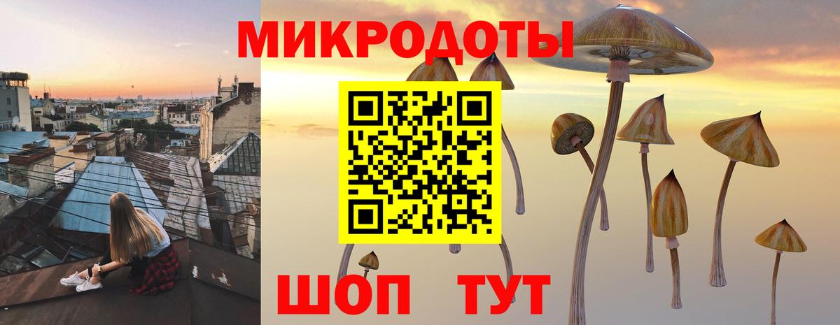 Ржев  Галлюциногенные грибы прущие грибы  Вход с VPN 