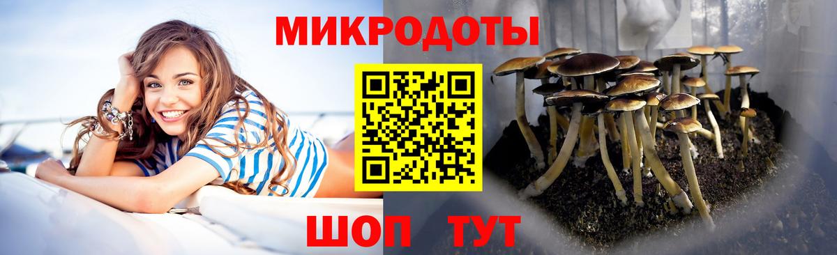 Галлюциногенные грибы MAGIC MUSHROOMS Ржев